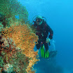 PB221853-1.JPG
