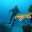 PB221863-1.JPG