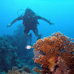 PB221861-1.JPG