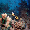 PB221871-1.JPG