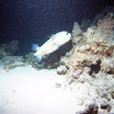 PB221887-1.JPG