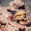 PB221902-1.JPG