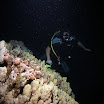 PB221901-1.JPG
