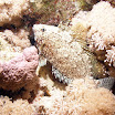 PB221903-1.JPG