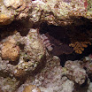PB221904-1.JPG