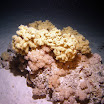 PB221906-1.JPG