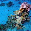 PB231909-1.JPG