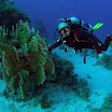 PB231911-1.JPG