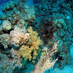 PB231915-1.JPG