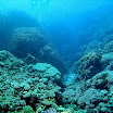 PB231981-1.JPG