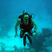 PB232005-1.JPG