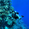 DSC_0307-t.JPG