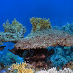 DSC_0213-t.JPG