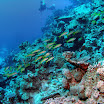 PB201489-t.JPG