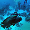 PB201523-t.JPG