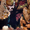 PB201529-t.JPG