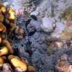 PB201574-t.JPG
