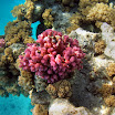 PB201588-t.JPG