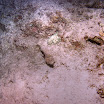 PB201648-t.JPG