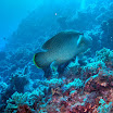 PB211674-t.JPG