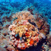 PB211673-t.JPG