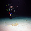 PB211782-t.JPG