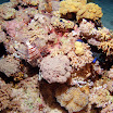 PB211786-t.JPG