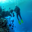 PB221821-t.JPG