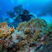 PB231924-t.JPG