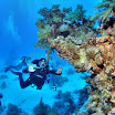 PB231917-t.JPG