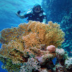 PB232001-t.JPG