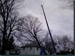 teaneck cutting down tree