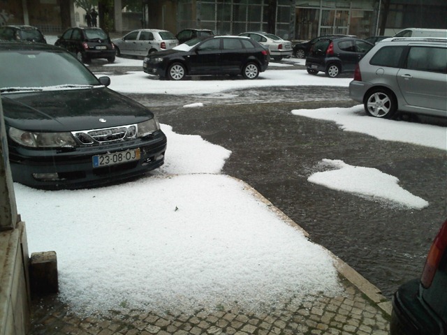 [IMG0482.jpg]