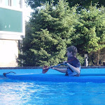 PA100014.jpg