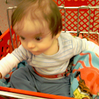 Shopping Cart