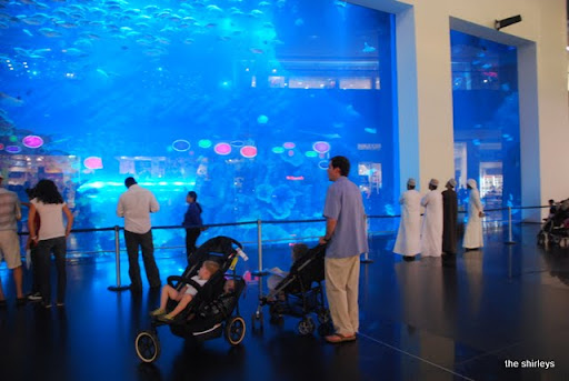 Dubai+mall+aquarium+broken