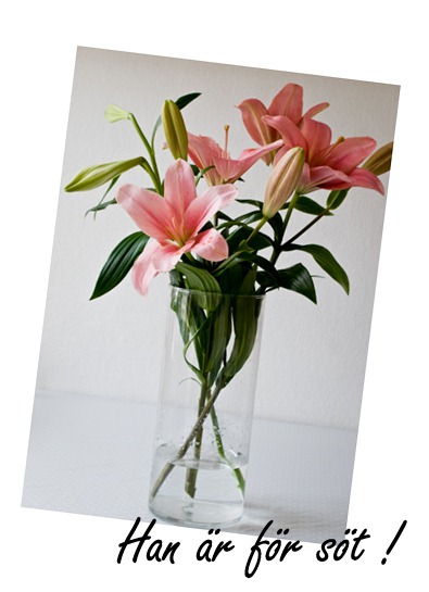[blommor[4].jpg]