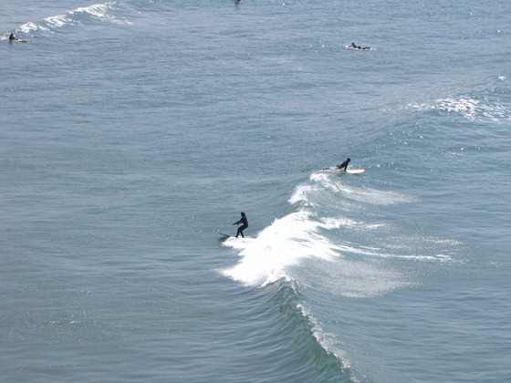 Surfing Otter Rock