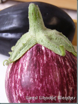 P1010469