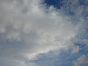 DSC01409.JPG