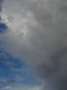DSC01417.JPG