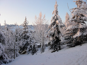 DSC01000.JPG