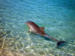 DSC05647.JPG