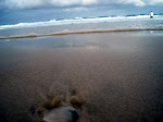 DSC05738.JPG