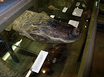 DSC05266.JPG