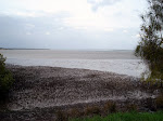 DSC05376.JPG