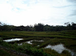 DSC03701.JPG