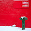 IMG_4077-Edit.jpg