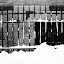 IMG_4095-Edit.jpg