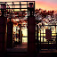IMG_3903-Edit-Edit-Edit-Edit.jpg